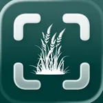 Grass Identifier: Meadlens icon