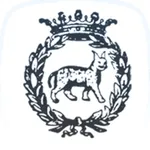 Accademia Nazionale dei Lincei icon
