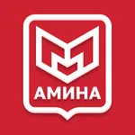 Амина icon