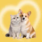 猫狗翻译器-狗语翻译器&猫语翻译器 icon