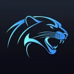 雪豹加速器-一键畅连网络加速器 icon