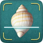 Sea Shell Identifier icon