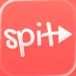 Spit Notes icon