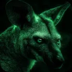 Night vision style camera icon