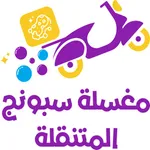 Sponge Car Washer icon
