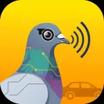 粉鳥測速通報 icon