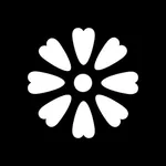 Simple Strength NZ icon