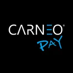 Carneo Pay icon