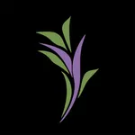 Aroma Sense PRO icon