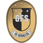 GRUPO GFS icon