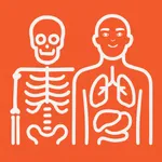 Anatomy Notes:Learn Human Body icon