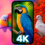 BIRDS WALLPAPERS icon