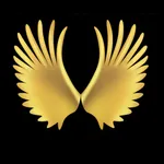 Parus Dancewear icon