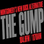 104.9 The Gump (WGMP) icon