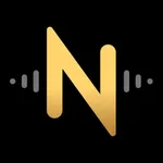 纳米录音笔记 - 原墨鱼助理 icon