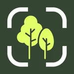 Wood & Tree ID - LasTree icon