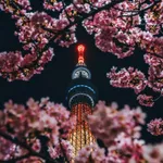 Urban Cityscape Wallpaper HD icon