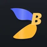 Blaaiz Business icon