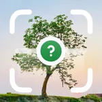 Wood & Tree Identifier AI icon