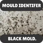 Mould identifier icon