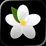 Jasmine: Floral Mindfulness icon