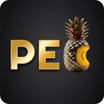 PEC Okabe Gallery icon