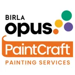 Birla Opus Paintcraft Pulse icon