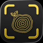 Wood Scanner AI ◦ TimberScan icon