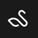 AMATEUR BALLET ACADEMY icon