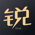 锐胜汽车 icon