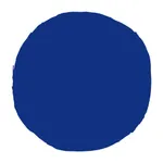 JAPAN BLUE JEANS icon