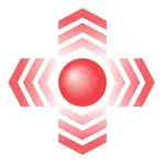 Driving Assist - G-Force Meter icon