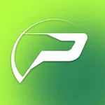 P-Circle icon