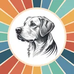 Petdraw: Pet Photo Art Editor icon
