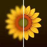 Photo Refinery: Upscale Refine icon