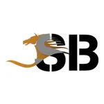 BDC Sharjah icon