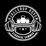 Hjallerup Boxen icon