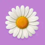 ハナコトバ icon