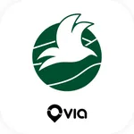 Calabasas Flyer icon