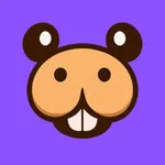 Dinbora: Saúde Financeira icon