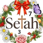 Selah Color icon