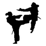 Kim's Tkd icon