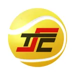 TC 1970 Sandhausen icon