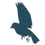 Wyrth: Net Worth Tracker icon