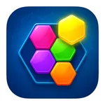 Hexa Block Fit Puzzle icon