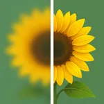 Unblur Image: AI Remove Blur icon