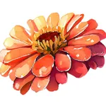 Rooted Reminders icon