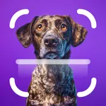 My Dog Breed Identifier icon