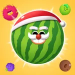 Fruit Drop Master icon