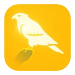 40 Rules: Knighthood of Purity icon